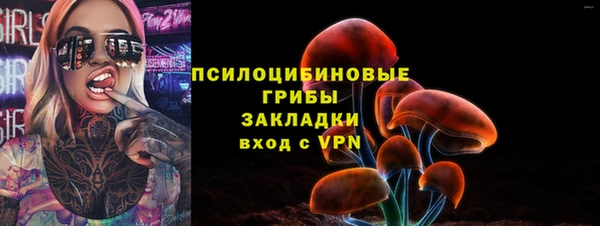 ГАЛЛЮЦИНОГЕННЫЕ ГРИБЫ Вяземский