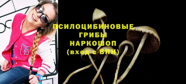 прущая мука Верея