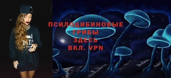 гашик Верхний Тагил