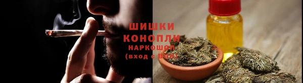 PSILOCYBIN Вязьма