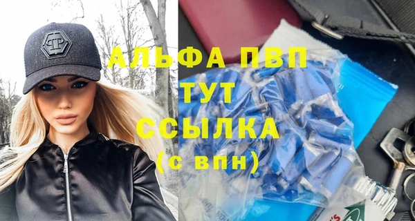 PSILOCYBIN Вязьма