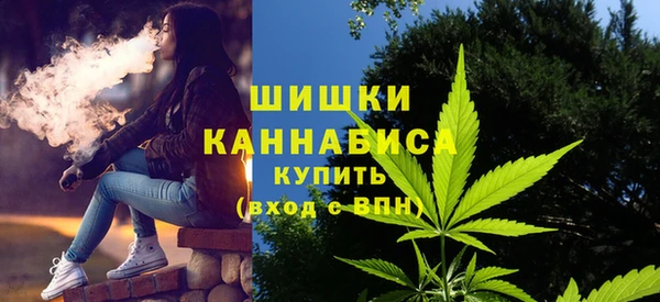 ГАЛЛЮЦИНОГЕННЫЕ ГРИБЫ Вяземский
