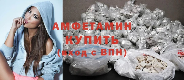 ГАЛЛЮЦИНОГЕННЫЕ ГРИБЫ Вяземский