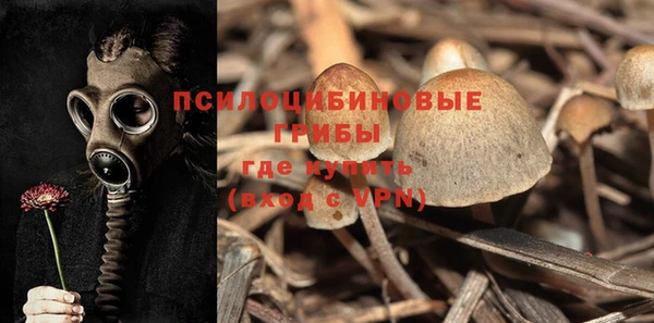 ГАЛЛЮЦИНОГЕННЫЕ ГРИБЫ Вяземский
