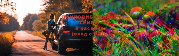 гашик Верхний Тагил